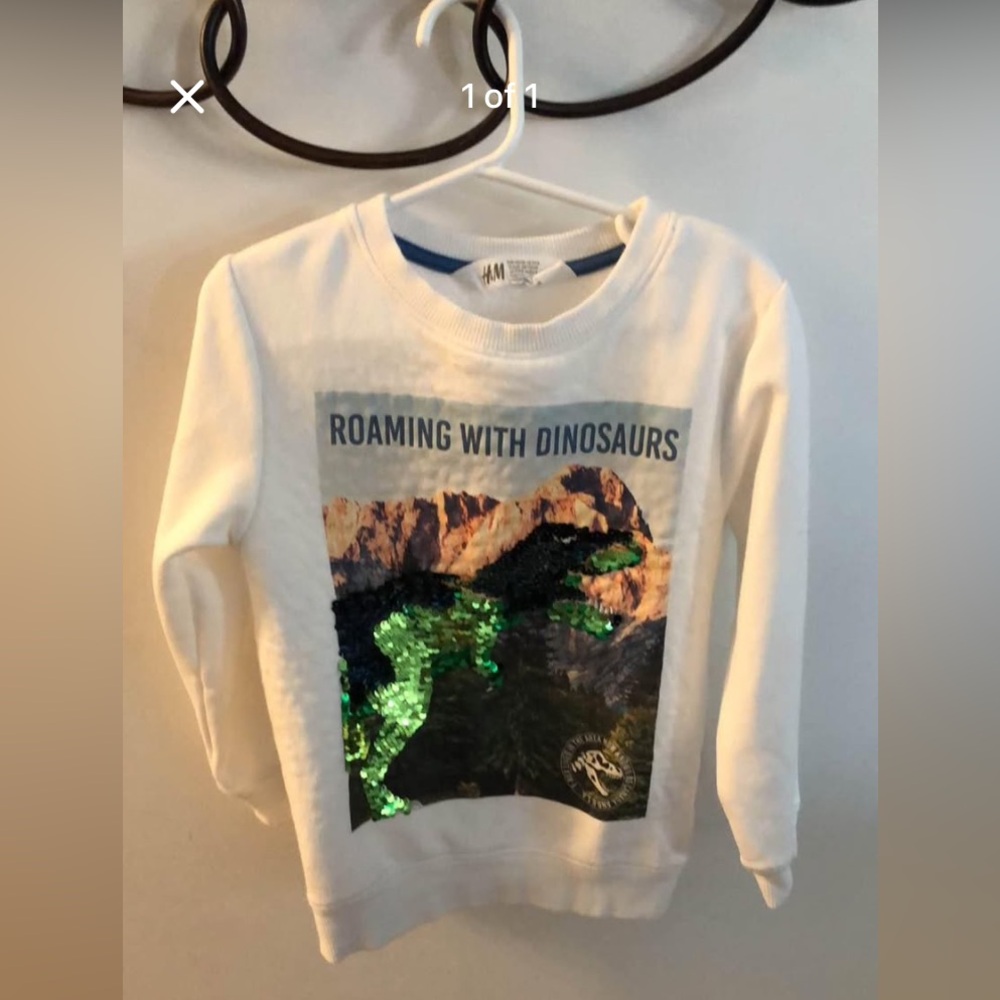 H&M Kids Roaming with Dinosaurs Sweatshirt - White and Green